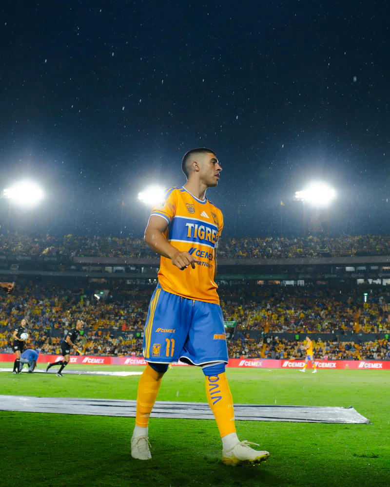 Tigres